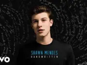 Lirik Lagu Imagination - Shawn Mendes dan Terjemahan