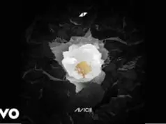 Lirik Lagu Without You - Avicii, Sandro Cavazza
