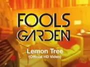 Lirik Lagu Lemon Tree dan Terjemahan – Fools Garden Lirik Lagu Lemon Tree dan Terjemahan - Fools Garden