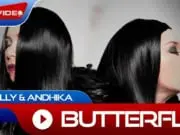 Lirik Lagu Butterfly - Melly Goeslaw, Andika Pratama