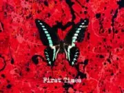 Lirik Lagu First Time - Ed Sheeran (Terjemahan)