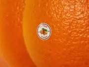 Lirik Lagu West Coast Love – Emotional Oranges (Terjemahan) Lirik Lagu West Coast Love - Emotional Oranges (Terjemahan)