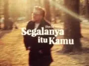 Lirik Lagu Segalanya Itu Kamu - David Bayu