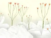 Lirik Lagu Valentine (Sped Up Version) - Laufey (Terjemahan)