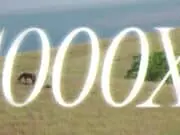 Lirik Lagu 1000X - Ghea Indrawari